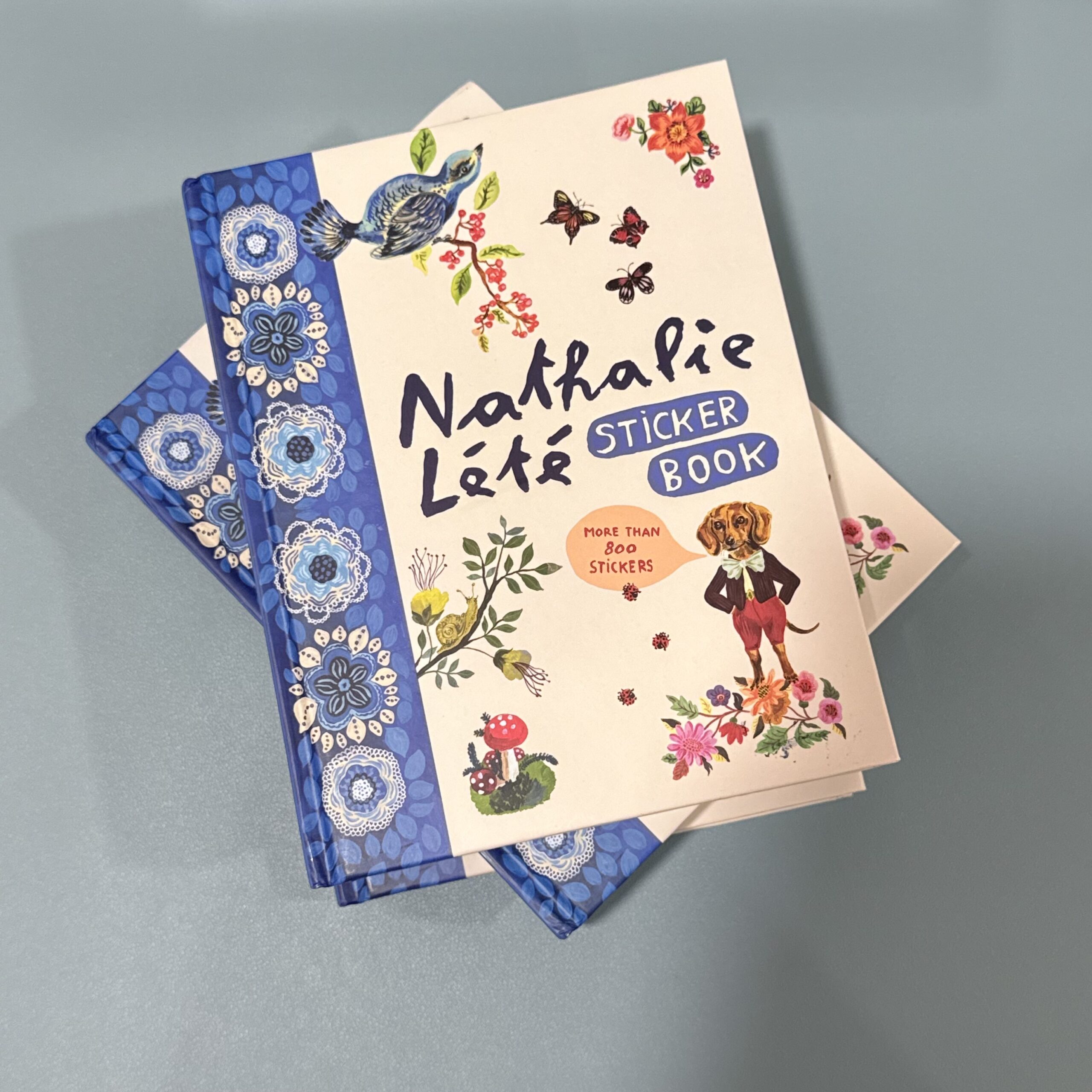 IMG_1635 كتاب ملصقات Nathalie Lété Sticker Book - الصورة 1